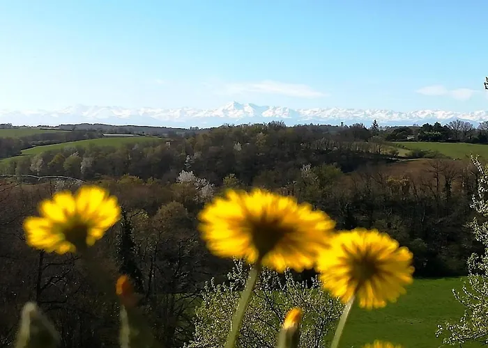 Tatil Evi Maison Loumagne - Pres De Marciac