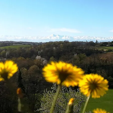 Tatil Evi Maison Loumagne - Pres De Marciac